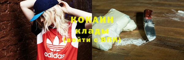 стаф Елизово