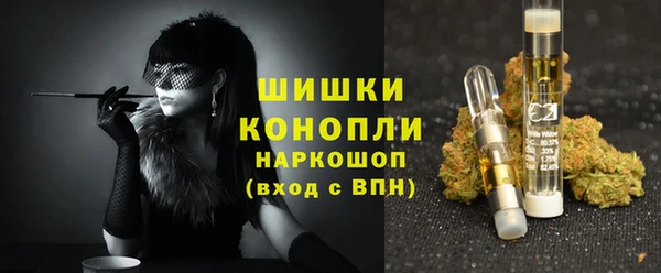 стаф Елизово