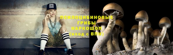 стаф Елизово