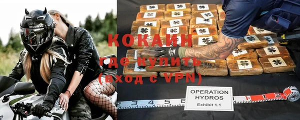 прущая мука Ельня