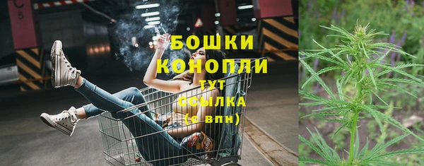 стаф Елизово