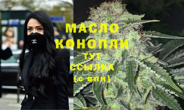 стаф Елизово
