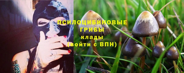 стаф Елизово