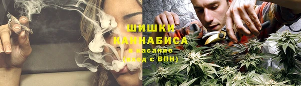 стаф Елизово