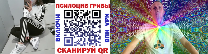 Псилоцибиновые грибы Psilocybe  OMG сайт  Димитровград  где купить наркоту 