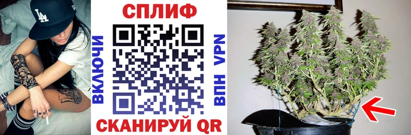 Каннабис гибрид  Димитровград 